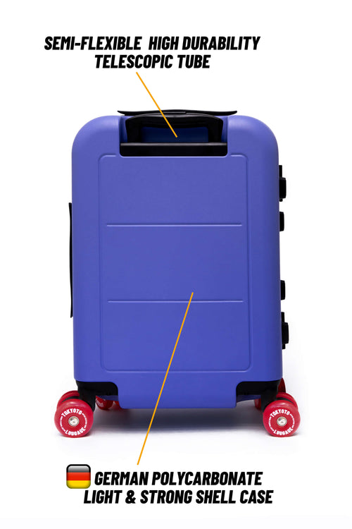 VALISE SKATE 