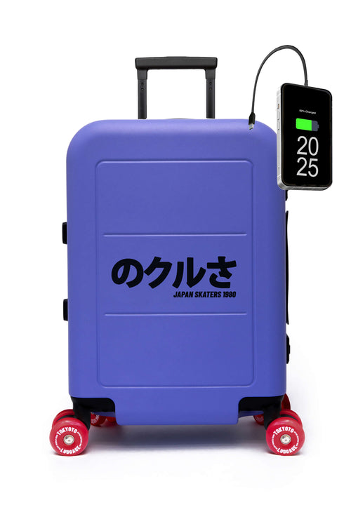 VALISE SKATE 